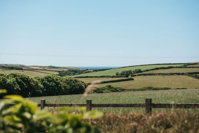 tregiddle-wallis-01